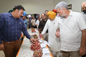 Good News for Punjab’s farmers: Mann Government to export Pathankot litchis to foreign Countries: Jouramajra