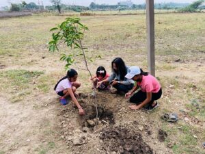 IMA Patiala plants tree sapling on Doctors Day