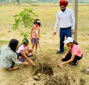 IMA Patiala plants tree sapling on Doctors Day