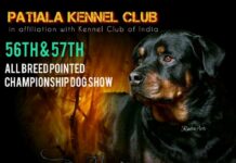 Patiala Kennel Club’s dog show will add colour to Patiala Heritage Festival