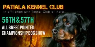 Patiala Kennel Club’s dog show will add colour to Patiala Heritage Festival