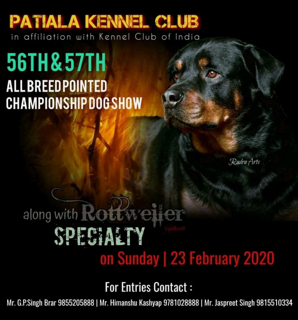 Patiala Kennel Club’s dog show will add colour to Patiala Heritage Festival