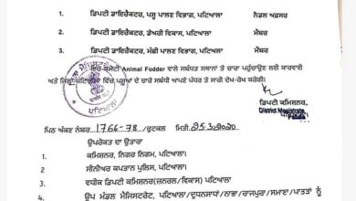Patiala administration made a committee for supply of animal fodder