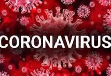 Punjab notifies COVID-19 as epidemic disease-Photo courtesy-Internet