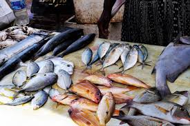 Fish and its products are not carriers of Corona virus - Virendra Kanwar-Photo courtesy-Internet