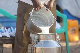 Milkfed to procure milk from doorstep of farmers ; milk supply to remain unaffected-Randhawa-Photo courtesy-Internet