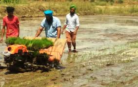 Subsidy upto 50% on machinery for paddy and maize cultivation; apply by May 10-Pannu-photo courtesy-internet