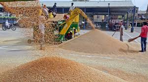 Procurement of wheat to end soon; bring your produce to mandis-Punjab govt to farmers-Photo courtesy-Internet