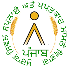 Punjab Food civil supply department issues transfer orders