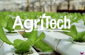 Punjab govt to partner CII for virtual Agritech conclave in October-photo courtesy-internet