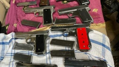 Punjab police seizes cache of arms meant for gangsters; two arrested-DGP