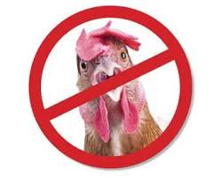 Crisis- Punjab declared as controlled area; bans import of Poultry -Photo courtesy-Internet