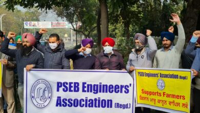 Privatization of power sector; power engineers participated in national protest day