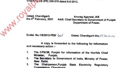 PSPCL director gets one year extension