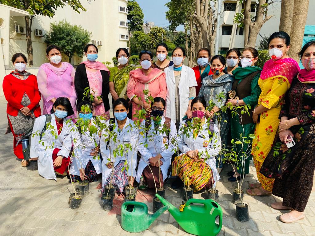 Govt Medical College made women day a memorable one-planted trees-PSMDTA