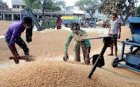 Central Government gives nod to Punjab to re schedule Wheat procurement period-Photo courtesy-Internet