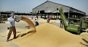 Punjab puts off procurement in view of covid spike-Photo courtesy-Internet