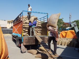State Procurement Agencies Lead in Procurement and Payment of Wheat in Patiala district