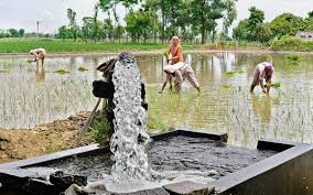 PSPCL management’s domineering behavior came to fore; engineers raised question on paddy season preparations-Photo courtesy-Internet