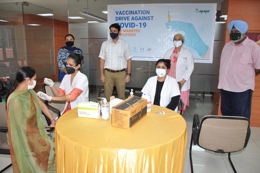 MARKFED conducts vaccination drive; 300 employees get jab