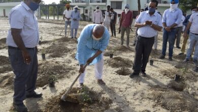 VC Central University of Punjab commenced Mega Plantation Drive for the year 2021