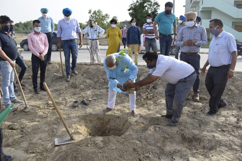 VC Central University of Punjab commenced Mega Plantation Drive for the year 2021