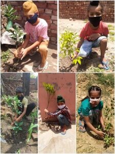 Nabha Power Launches another Plantation Drive on its Premises