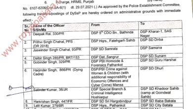 Major reshuffle in Punjab Police; 130 DSPs transferred