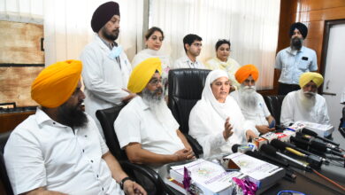 Historical structures excavated in Darbar Sahib complex; SGPC sought experts’ opinion-Jagir Kaur