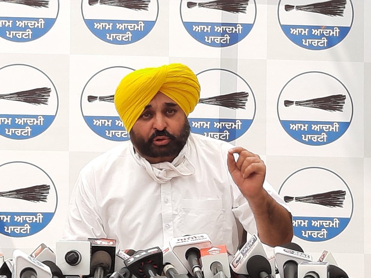 In next 25 years, Punjabi’s to pay Rs 2.25 lakh crore to private power companies: Mann
