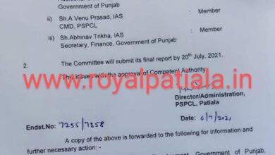 PSPCL-PSTCL employee’s protest; 3-member committee formed for redressal