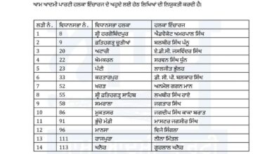 Punjab AAP releases list of 14 Halqa Incharges