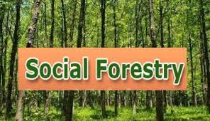 Social Forestry vital to proactively increase green cover-Sadhu Singh Dharamsot-photo courtesy-Internet