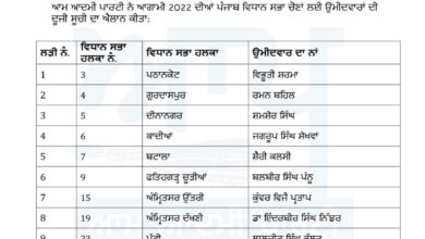 AAP announces 30 candidates for Punjab 2022 elections