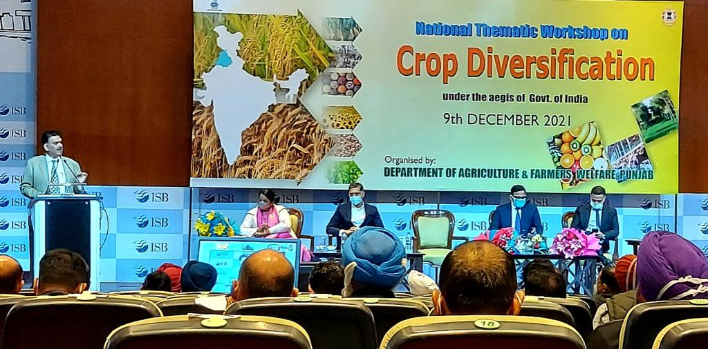 Crop diversification to boost prosperity of farmers: Anirudh Tewari