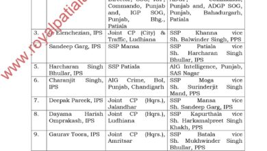 SSPs amongst 19 IPS-PPS transferred in Punjab