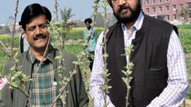 GNDU’s remarkable initiative in promoting non-traditional agriculture; boosting bio-economy of state