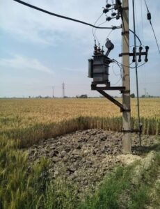 PSPCL issues advisory to avoid fire incidents in wheat fields; helpline number released