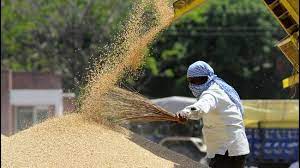 On request of state government, centre extends paddy procurement period; Kataruchak thanks CM Mann-File Photo courtesy-Internet