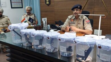 Rupnagar police nab youth with 7 illegal weapons