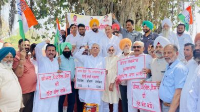 Cong workers stage protest against price rise