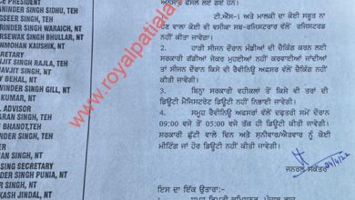 Punjab Revenue officers association put froths its new working plan to DCs, SDMs