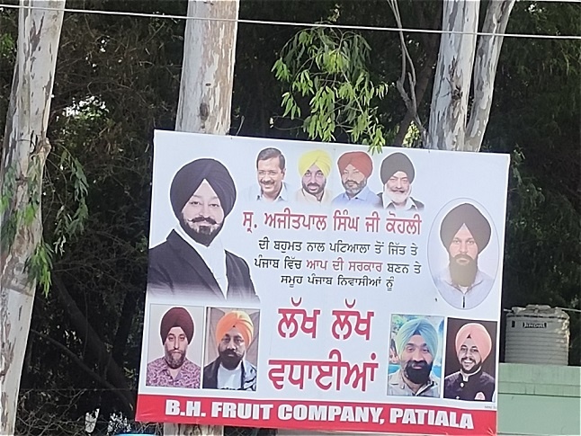 Is Patiala MC, Forest department fulfilling its duty responsibly?