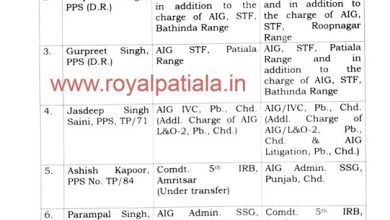 6 IPS-PPS transferred in Punjab