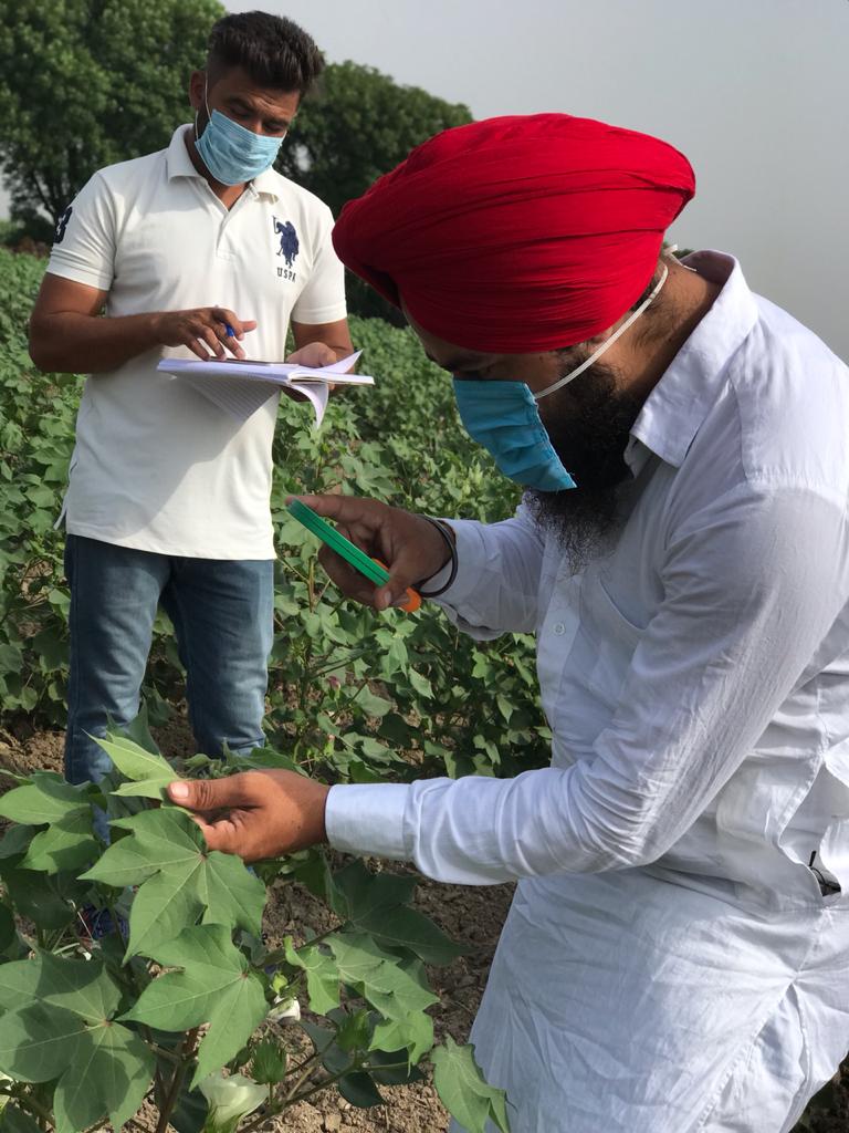 TSPL Wins Apex CSR Excellence Award for Agriculture Development - Royal ...