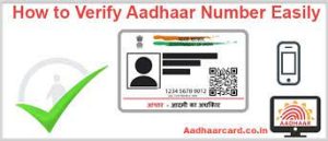 UIDAI releases methods to check Aadhaar card through Online, Offline mode-Photo courtesy-Internet