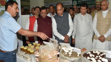 1.71 lakh farmers of state adopt natural farming under Prakritik Kheti Khushal Kisan Yojana: CM