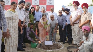 IIT Ropar plants 1000 saplings to mark environment day