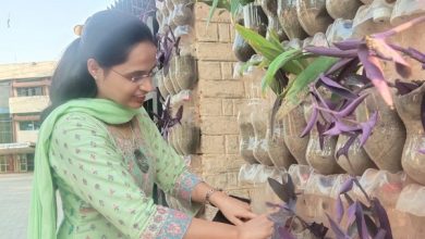 Vertical garden initiative launched in Rupnagar
