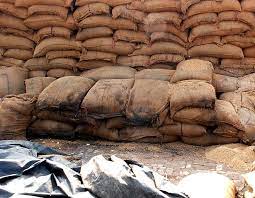 Four PUNGRAIN employees booked for siphoning off wheat bags, bales in Punjab-Not an original picture-Courtesy-Google
